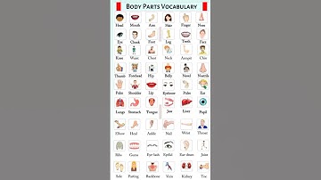 Body parts vocabulary, Bps study by Bhanu Pratap Singh, gk, gs, science, notes short video