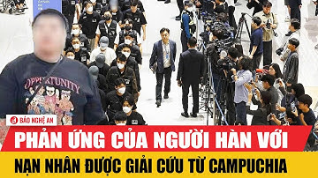 Bất ngờ phản ứng của người Hàn Quốc với nạn nhân được giải cứu từ trại lừa đảo ở Campuchia