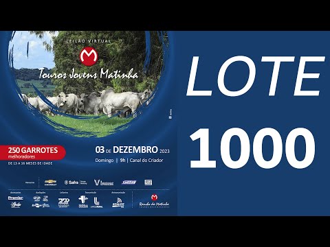 LOTE 1000