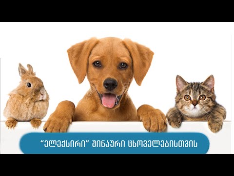 ელექსირი შინაური ცხოველებისთვის