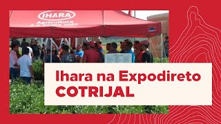 IHARA apresenta jornada de soluções durante a Expodireto