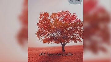 ارح قلبك ❤ تلاوة عطرة 💛 ما تيسر من سورة غافر 💙