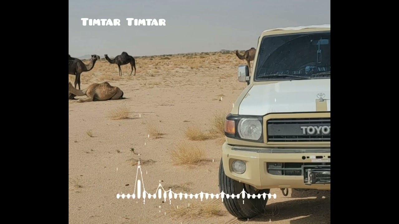 Moussa taflawiste  - Tenerte Tanine