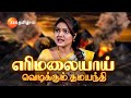 நளதமயந்தி (NalaDamayanthi) - திங்கள்-சனி - மாலை 6.30 மணிக்கு - 01 Feb 24 - Promo - Zee Tamil image