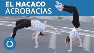 ACROBACIAS BÁSICAS desde el suelo - EL MACACO