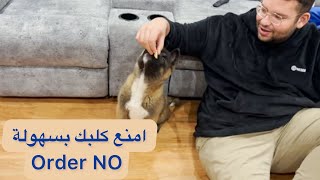 تدريب كلب اميركان اكيتا علي Order NO | حصة تدريب عملي مع الكلب ومالكه