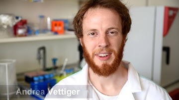 Friendly Fire/ Cell Sept. 8, 2016 (Vol. 167, Issue 1)