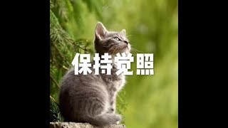 201703 保持觉照22309