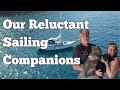 S4, Ep42 We're Bringing Our Cats Sailing — How a Liveaboard Couple Makes It Work
