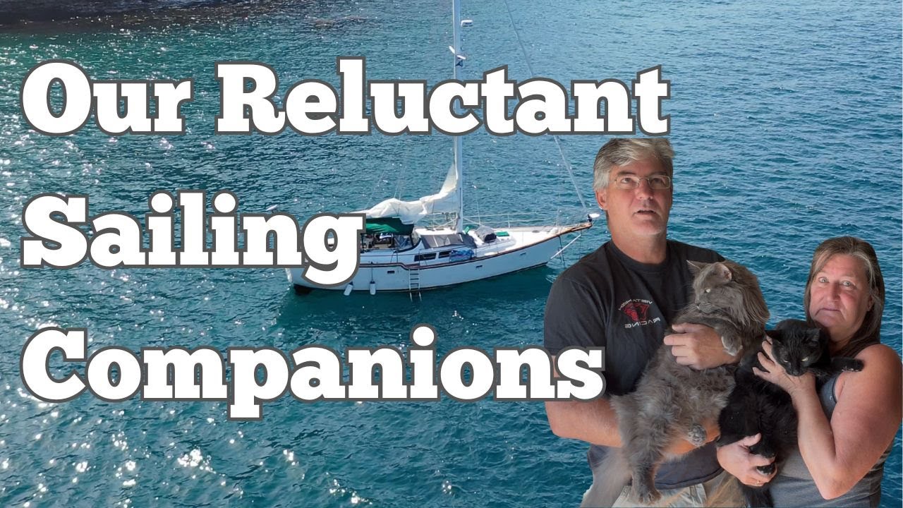 S4, Ep42 We’re Bringing Our Cats Sailing — How a Liveaboard Couple Makes It Work