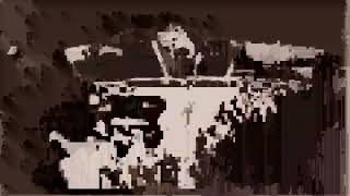 Tiger Bear Wolf - Wolf (Official Visualizer)