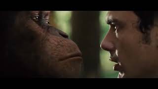 Caesar Is Home - Rise Of The Planet Of The Apes 2011