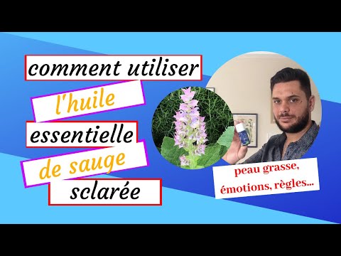 Vidéo: Quelles sont les utilisations de la sauge mandarine - Conseils sur la culture des plantes de sauge mandarine