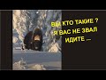 Мужики встретили ОвцеБыка в лесу. Якутия. Уникальная редкая встреча