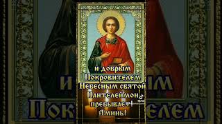 9 августа День иконы Святого Великомученика и целителя Пантелеймона .