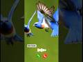Message Ringtone | Notification Ringtone | Message Tone | Ringtone.|| Bird Songs #ringtone #shorts