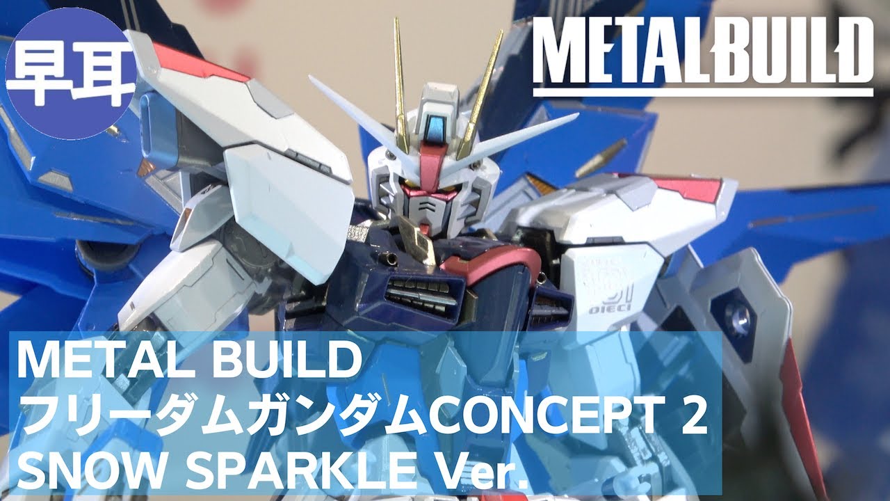 METAL BUILD－フリーダムガンダム （FREEDOM GUNDAM）CONCEPT 2 SNOW