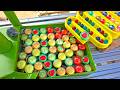 Water Marble Run Race! Transparent Water Tank + Transparent Slider + Kumikumi Slope + HABA Long ver