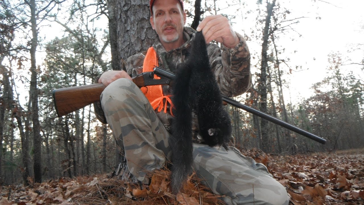 Giant Fox Squirrel Hunting