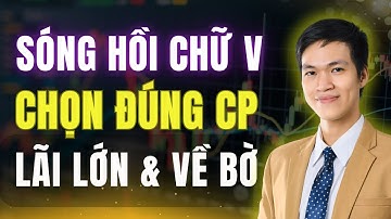 Sóng Hồi Chữ V: Chọn Đúng Cổ Phiếu Sẽ Về Bờ Nhanh Và Lãi Mạnh