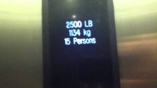 Kone Ecodisc Hydraulic Elevator @ Fabco Shoes