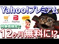 PayPayと相性バツグン！対象者限定でYahooプレミアム会員が1年間無料に4月はセブンイレブンでペイペイジャンボ