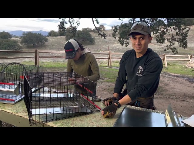 How to build quail cage class=