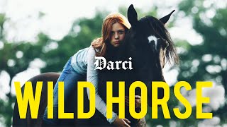 Darci - Wild Horse | Music Video Resimi