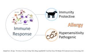 Allergies, Atopies, Cells, Cytokines and JAK signaling.