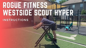 Rogue Fitness | Westside Scout Reverse Hyper