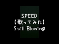 SPEED【歌ってみた】Still Blowing