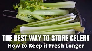 THE BEST WAY TO STORE CELERY  | How to Keep Celery Fresh Longer