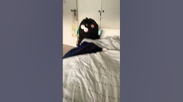 My first loop /? #funnymemes #loop #edit