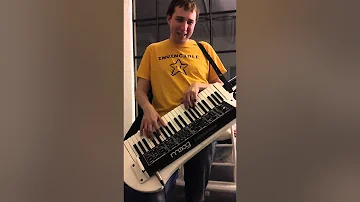 Komm susser tod on Keytar; Tommy puts world on on suicide watch