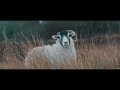 #Nikon #D850 x The Highlands (Scotland) | Cinematic Video