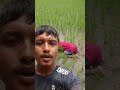 কারো কথায় ব্যায়াম করতে যাবেন না ভাইটির মতো ওয়া বাড়িতে পড়তে পারেন