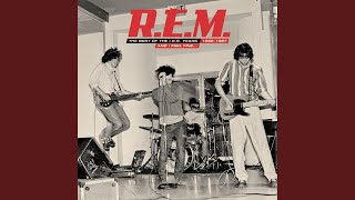 Miniatura de vídeo de "R.E.M. - The One I Love (Remastered 2006)"