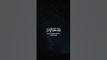 #أجمل_تلاوات #اكسبلور #المصحف #تلاوة_خاشعة #لايك #آيات_تهز_القلوب #حالات_واتس