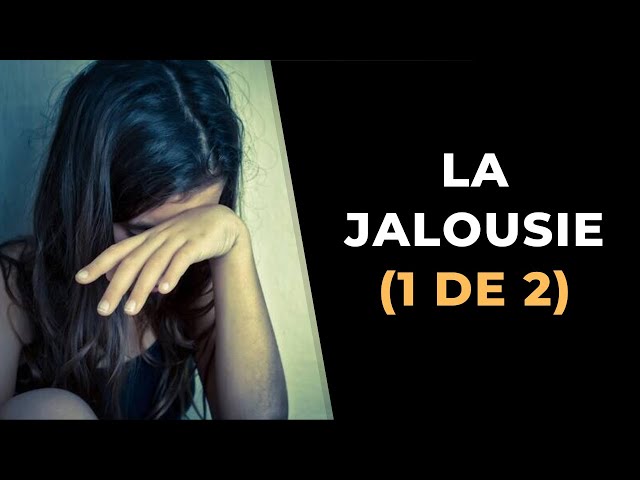 Visionner la vidéo sur YouTube