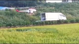 Development of agriculture. Helicopter sprays pesticides  on paddy