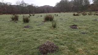Worlds Biggest Mole Hill,Scotland.new