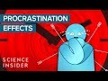 Understanding Procrastination