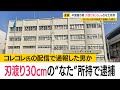 中国籍の男刃渡り約30cmのなたを所持した疑い　コレコレ氏の配信で通報した男か　(2024年4月13日)
