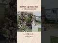 로맨틱한 스몰 웨딩의 로망 in 코트야드메리어트