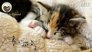 Soothing Music for Cats (with cat purring sounds) - Anxiety and Stress Relief by Cats Only Channel 78,002 views 5 months ago 10 hours, 7 minutes