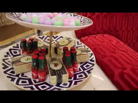 فيديو مسرب عن طائرة السيسي الرئاسية