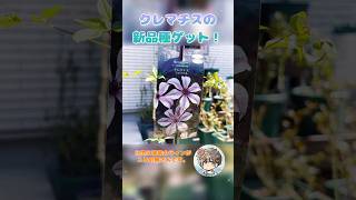 クレマチス「風の方位」をゲットです＊+ #ガーデニング #shorts - YouTube