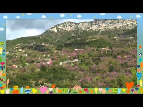 Κάτω Γραικικό Δήμου