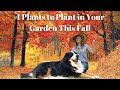 4 Plants to Plant in Your Garden This Fall