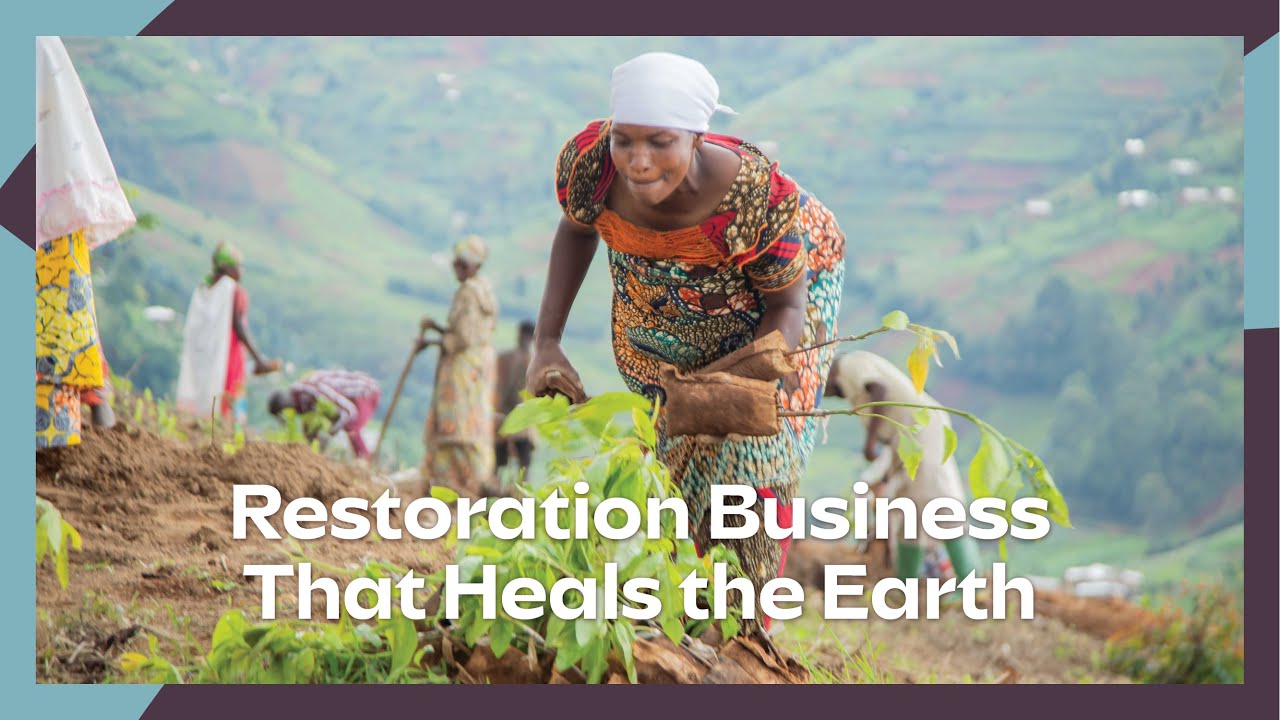 Watch How This Business is Bringing Burundi’s Land Back to Life!